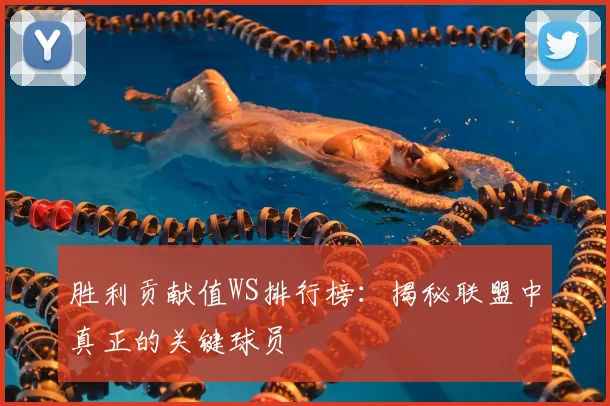 胜利贡献值WS排行榜：揭秘联盟中真正的关键球员