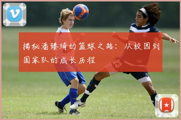 揭秘潘臻琦的篮球之路：从校园到国家队的成长历程